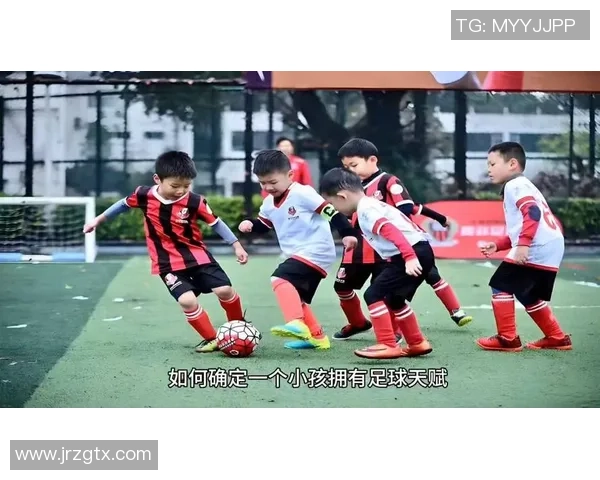 探索足球的世界：我们究竟需要多少只足球才能满足不同需求